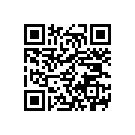 Light Version (бесплатная) Light Version (бесплатная)