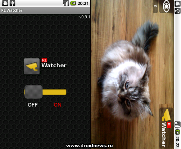 RL Watcher