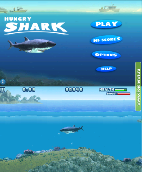 Hungry Shark