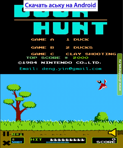 Duck Hunt
