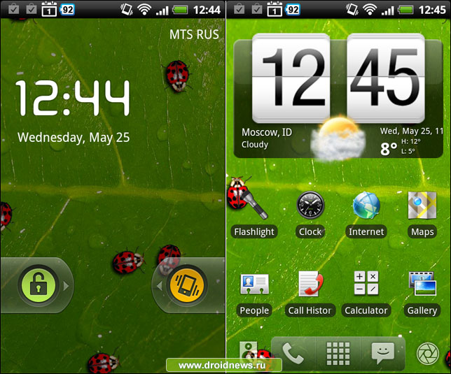 Ladybugs Alive! Wallpaper Ladybugs Alive! Wallpaper