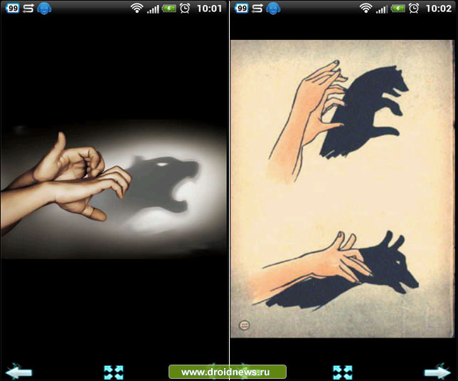Hand Shadow Hand Shadow
